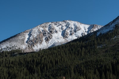 白昼蓝天雪帽山附近的森林